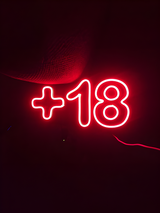 '+18 LED Neon Sign Light Neon
